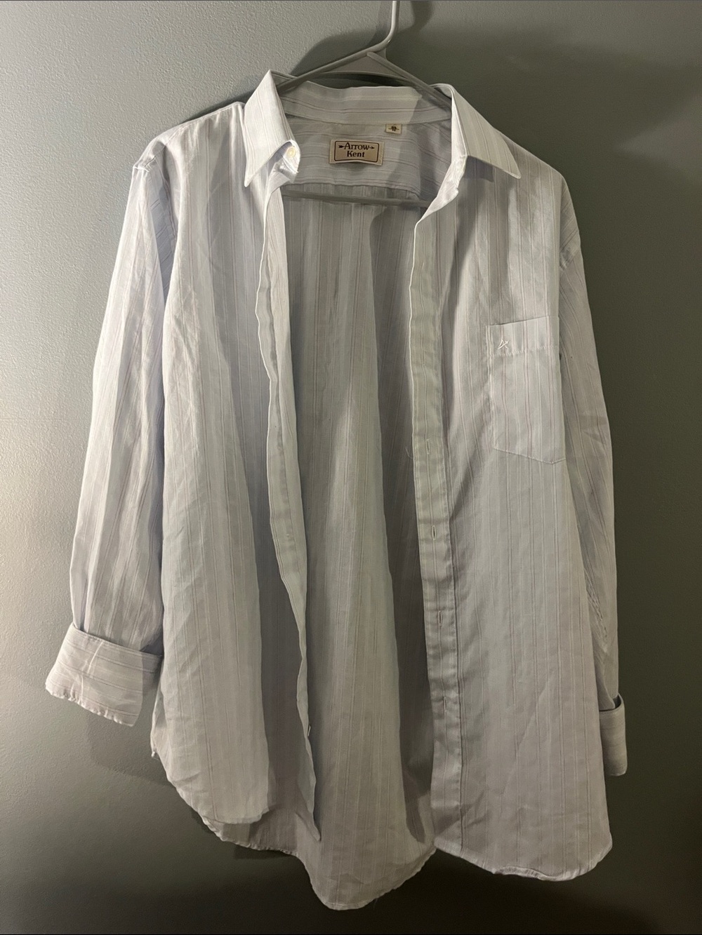 Arrow Men's Pale Blue Stripe Casual Button-Down Shirt